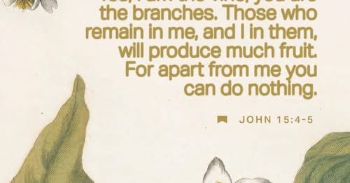 John 15:4-11 Abide in Me, and I in you. As the branch cannot bear fruit of itself unless it abides in the vine, so neither can you unless you abide in Me. I am the vine, you are the branches; he who abides in Me a | New American Standard Bible -...